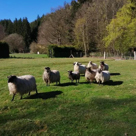 Romantic In Saint-quirin, Cleaning Included *